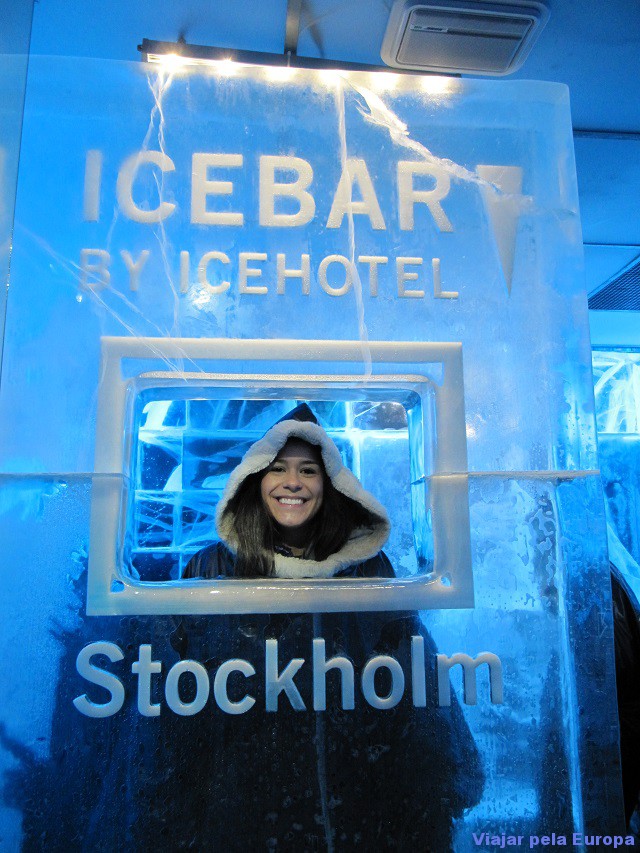 Escultura no gelo dentro do Icebar.