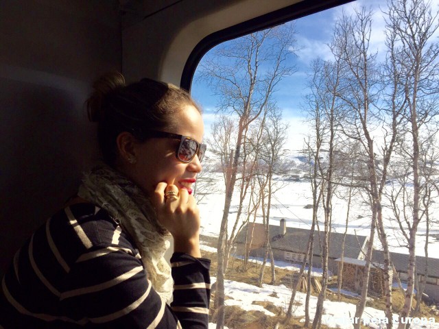 Viagem de trem na Noruega