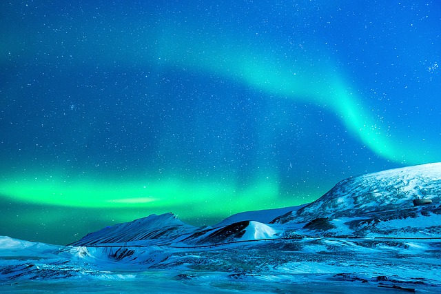 What to do in Svalbard during winter