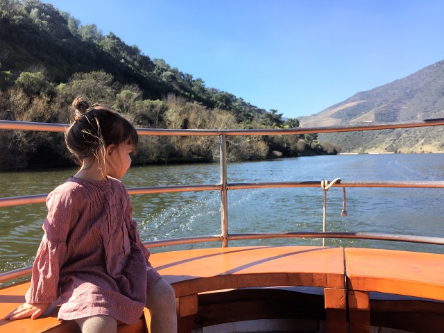 Passeio de barco pelo Douro