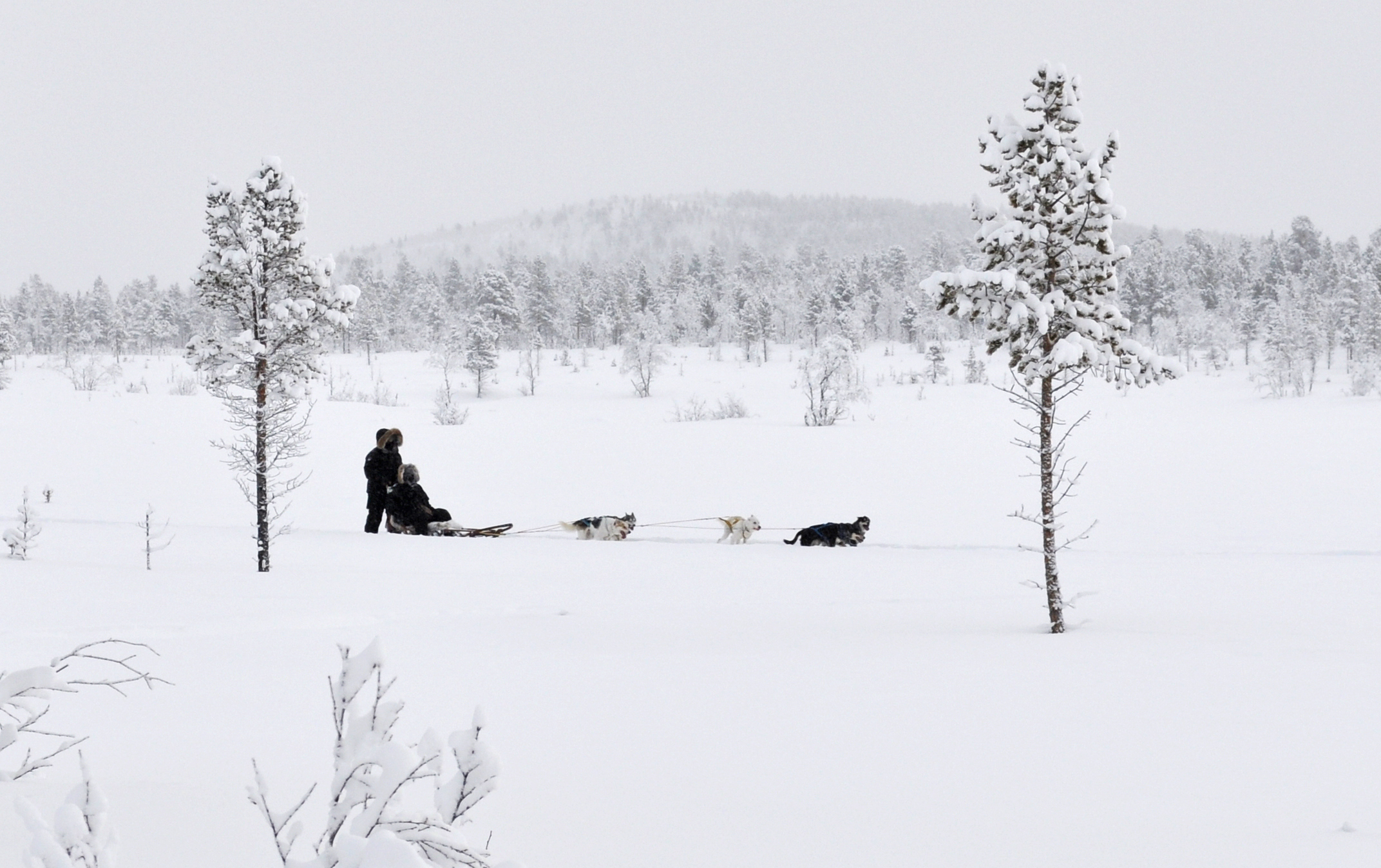 Inverno em Kiruna. Foto – Divulgação