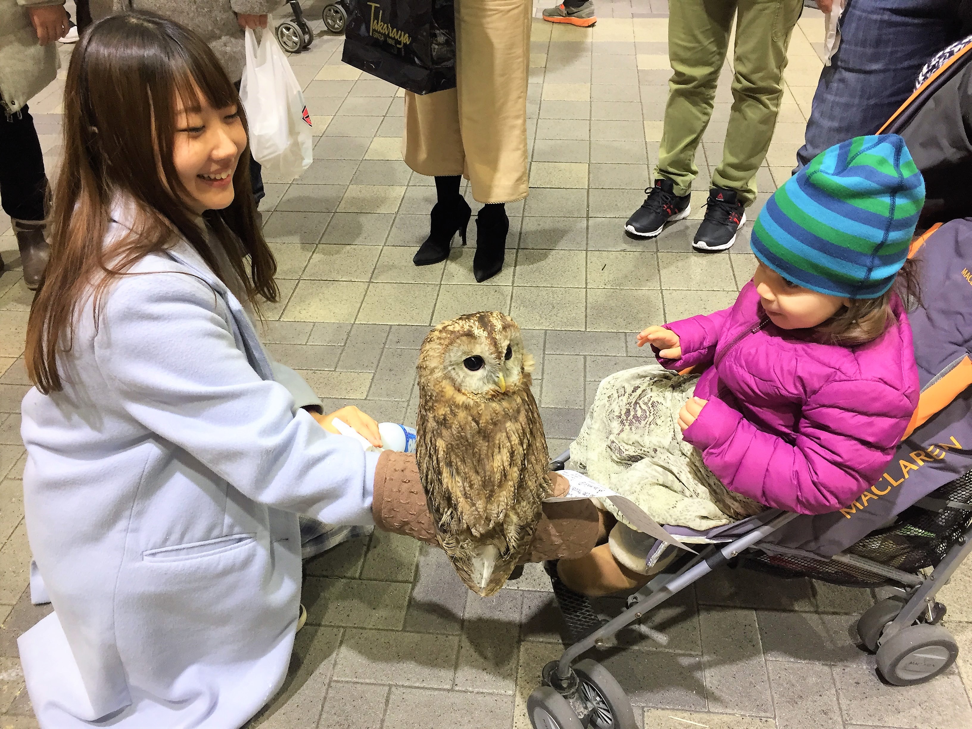 Kimono Tour – Asakusa – Owl