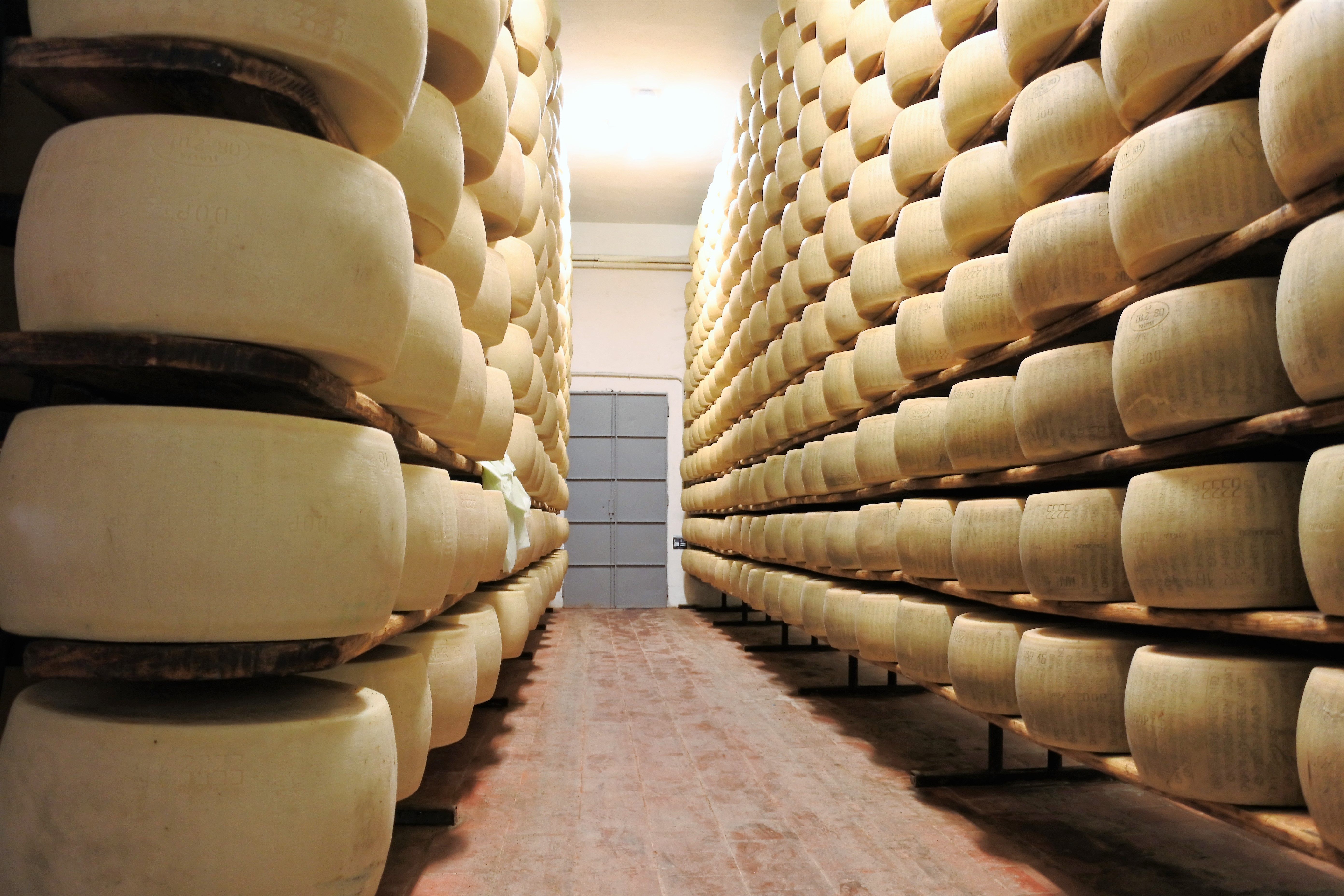 Parmigiano reggiano, o único parmesão! Veja como é visitar  uma fábrica do famoso queijo italiano!