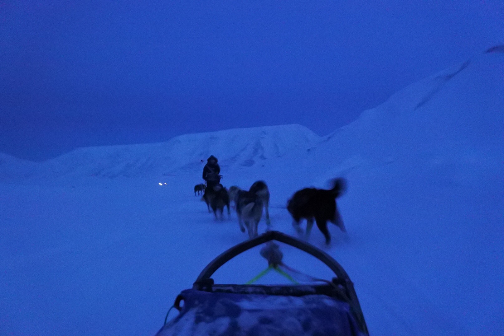 Dogsledge tour with huskies
