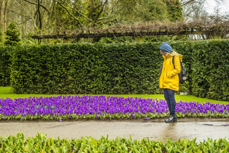 Keukenhof – Tudo que você precisa saber para visitar o parque das flores na Holanda!