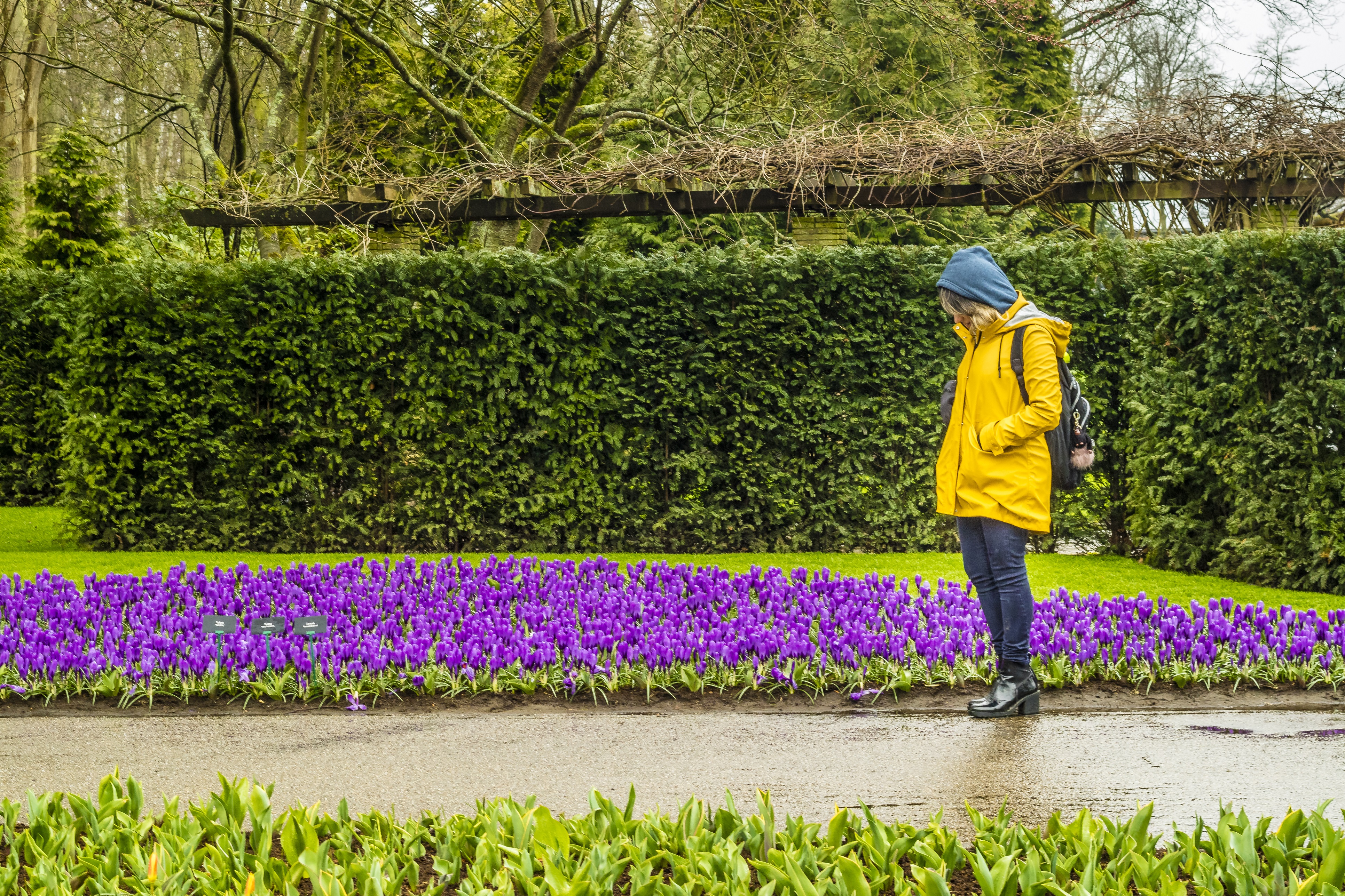 Parque das flores na Holanda